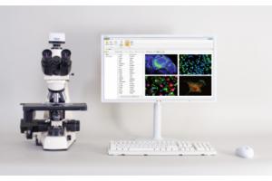 Анализ, подготовка отчетов и организация виртуальных препаратов в флуоресцентной микроскопии Vision Bio® Epi Pro